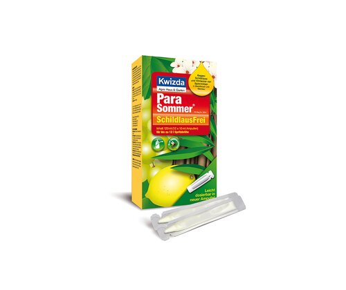 Para Sommer